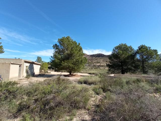 Casa Rural en venta en Urbanització El Pintat, l'Alacantí