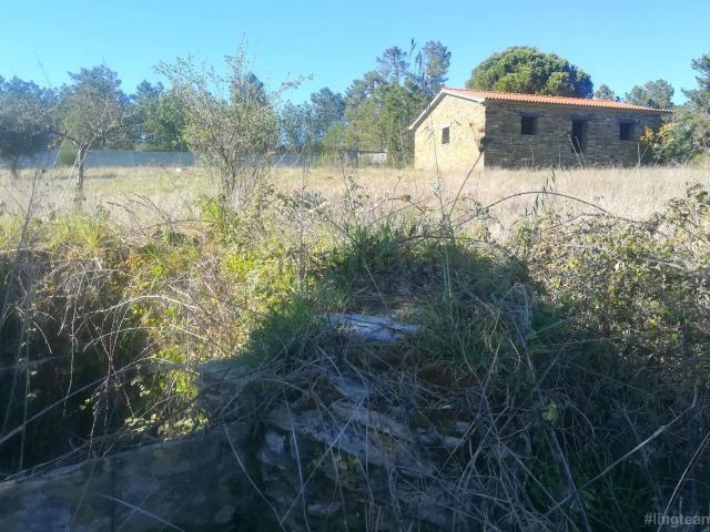 Quinta venda em Castelo Branco