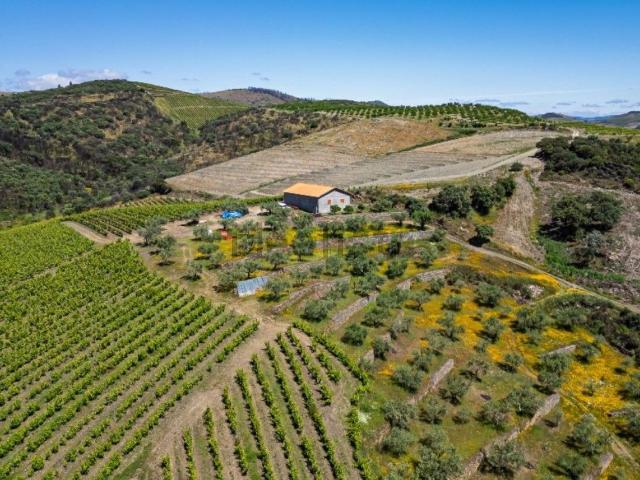 Quinta venda em Cedovim, Vila Nova de Foz Côa