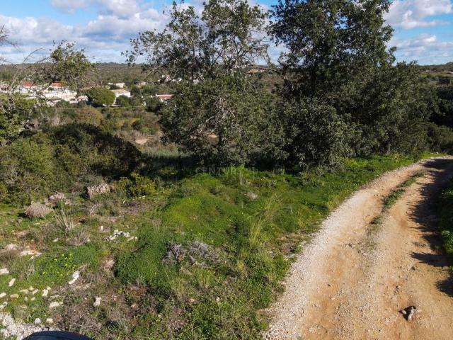 Quinta venda em Ferreiras, Mosqueira