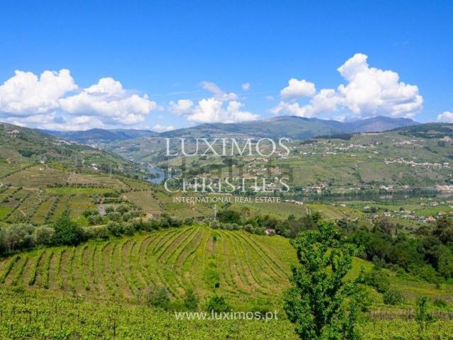 Quinta venda em Cambres, Lamego