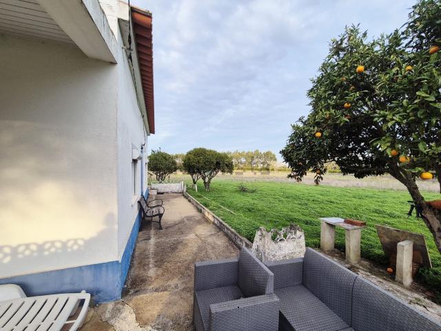 Quinta venda em Sines, Setúbal