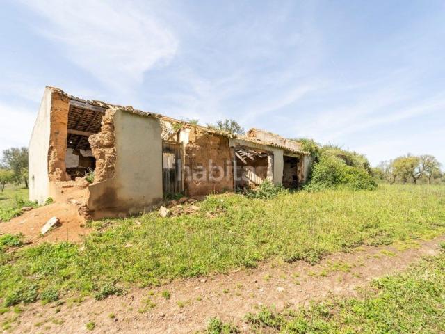 Quinta venda em Cercal, Santiago Do Cacém