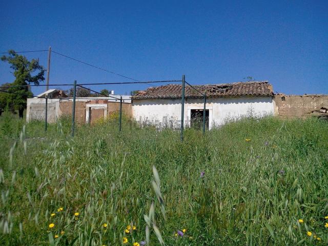 Quinta venda em Cercal, Santiago Do Cacém