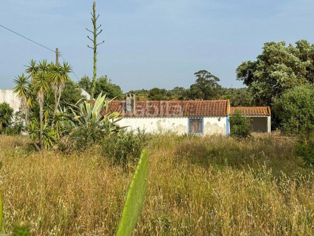 Quinta venda em Cercal, Santiago Do Cacém