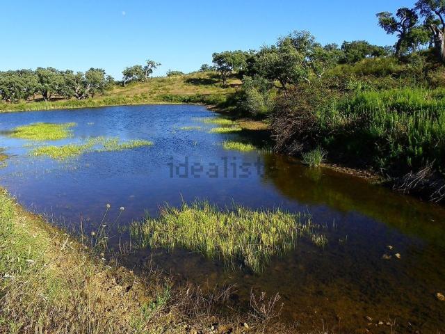 Quinta venda em Cercal, Santiago Do Cacém