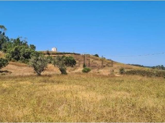 Quinta venda em Cercal, Santiago Do Cacém