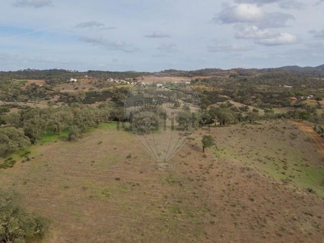 Quinta venda em São Luís, Odemira