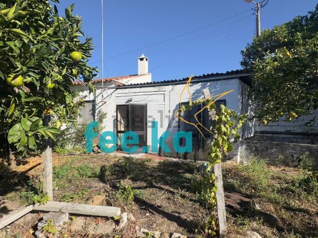 Quinta venda em Castelo Branco