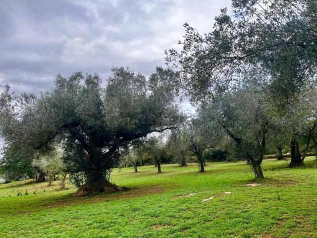 Casa Rural en venta en el Baix Maestrat, Valencia