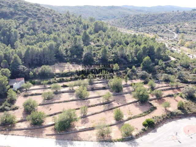 Casa Rural en venta en Cervera Del Maestre