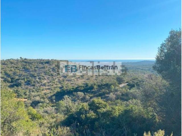 Casa Rural en venta en el Baix Maestrat, Valencia