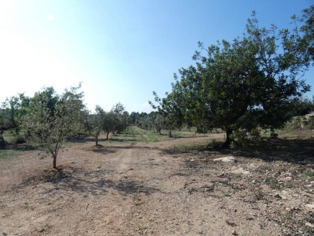 Casa Rural en venta en Cervera Del Maestre