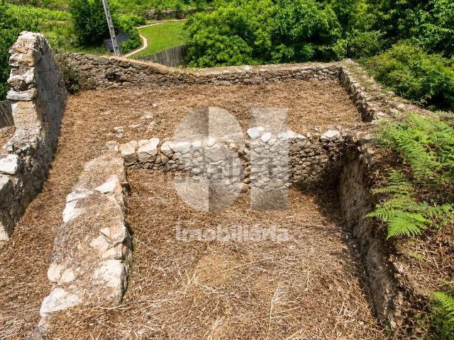 Quinta venda em Oliveira De Azeméis, Aveiro