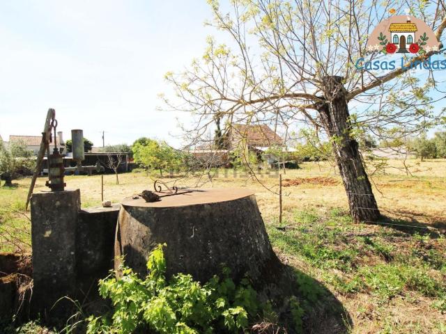 Quinta venda em Rego Da Murta, Santarém