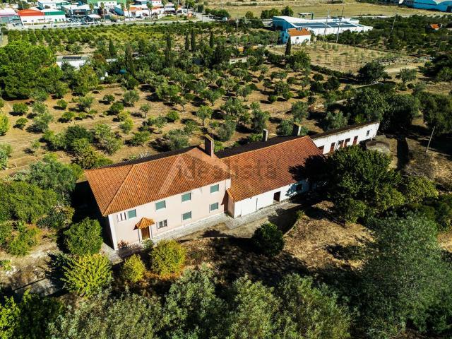 Quinta venda em Chamusca e Pinheiro Grande, Chamusca