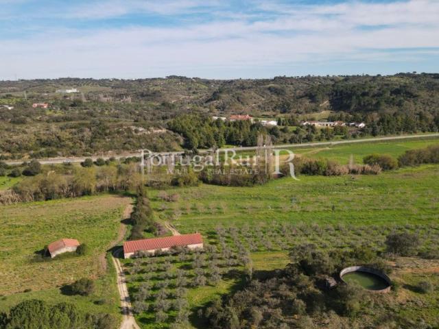 Quinta venda em Torres Novas, Santarém
