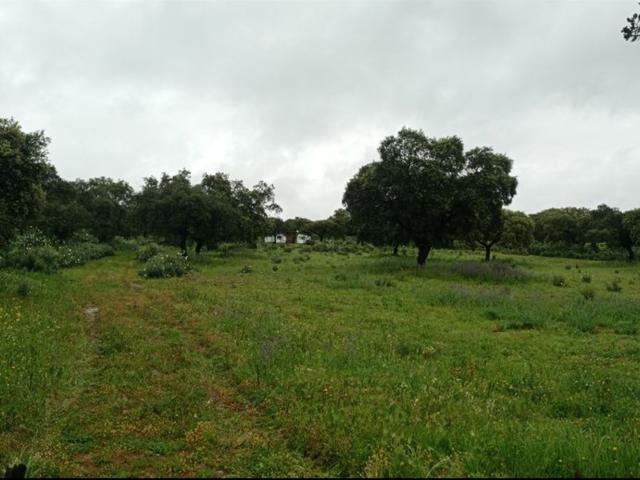 Casa Rural en venta en Chillón, Castilla-La Mancha