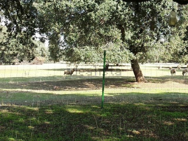 Casa Rural en venta en Chillón, Castilla-La Mancha