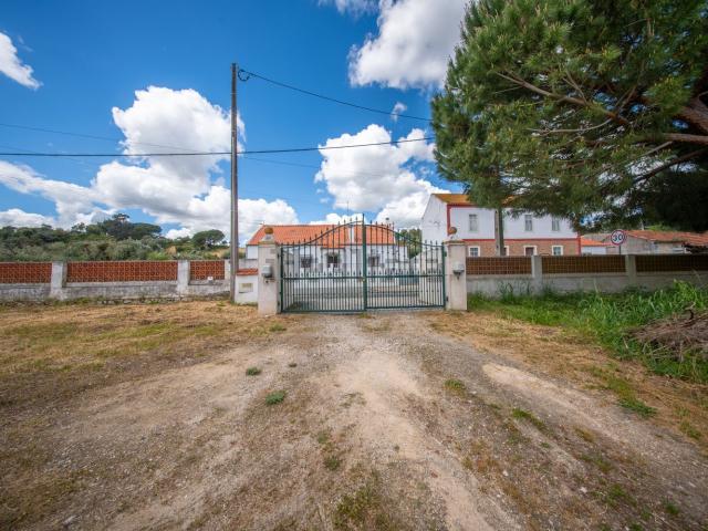 Quinta venda em Santarém