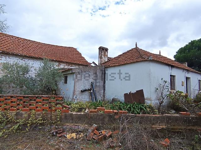 Quinta venda em Santarém, São Salvador