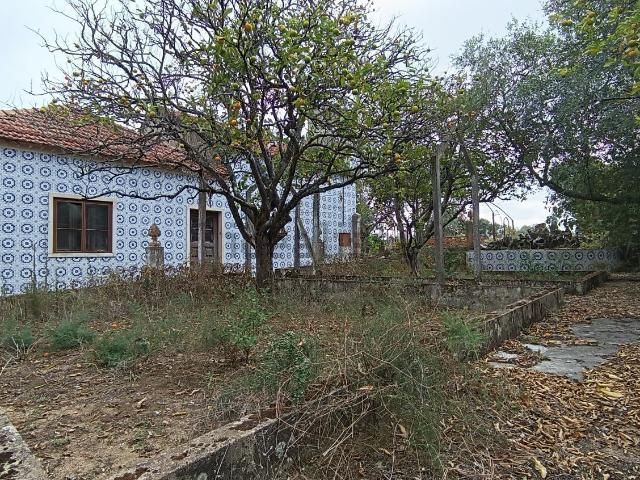 Quinta venda em Santarém