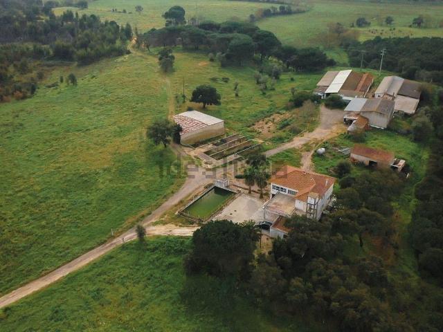 Quinta venda em Santarém
