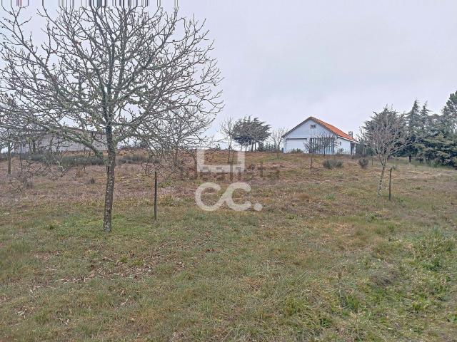 Quinta venda em Cimo De Vila De Castanheira, Dadim
