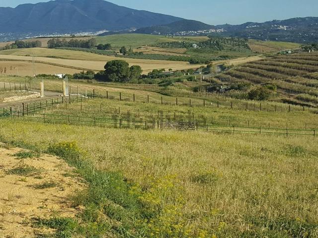 Casa Rural en alquiler en Coín, Las Delicias