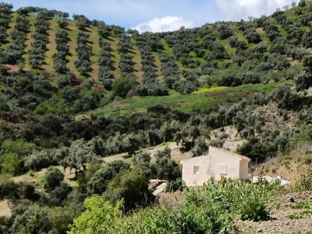 Casa Rural en venta en La Axarquía, Andalucía