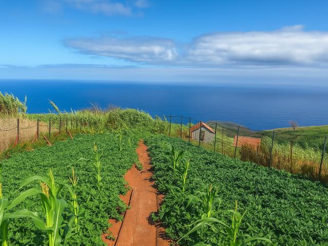 Terreno venda em Porto Moniz, Ilha Da Madeira