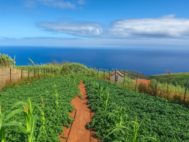 Prédio venda em Porto Moniz, Ilha Da Madeira