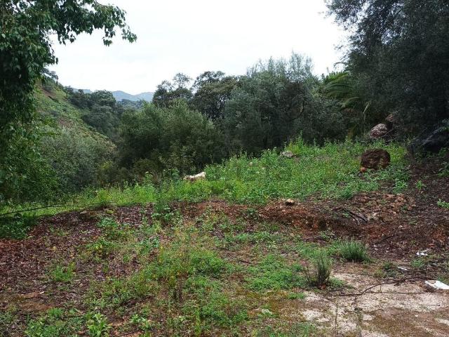 Casa Rural en venta en Barriada los Ventorros, Comares