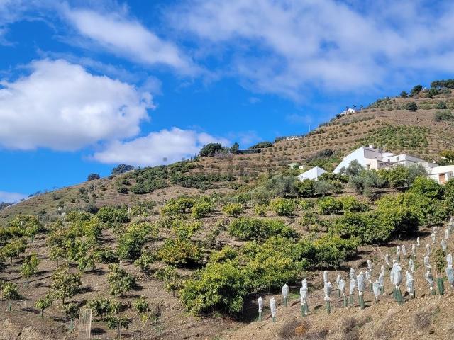 Casa Rural en venta en Cómpeta