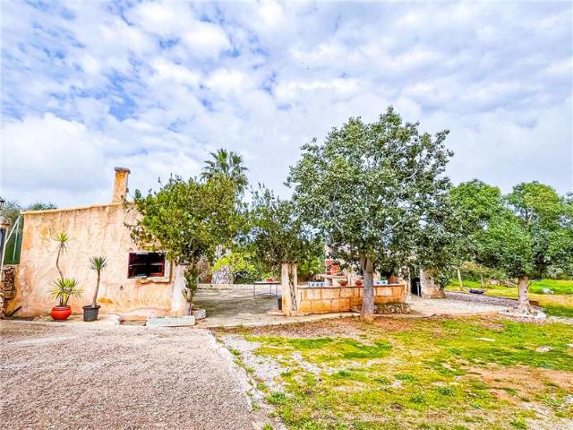 Casa en alquiler en Platja de Muro, Pla de Mallorca