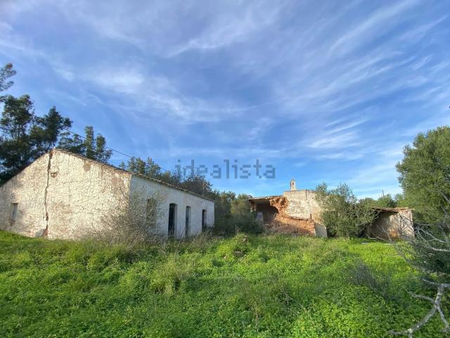 Quinta venda em Tavira, Faro