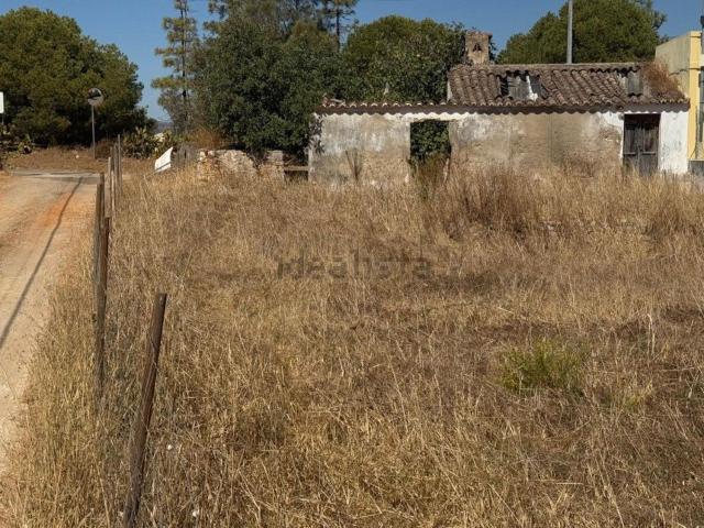 Quinta venda em Tavira, Faro