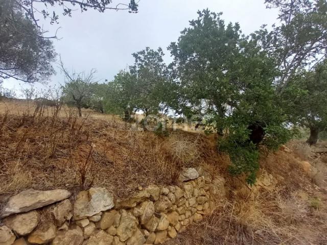 Quinta venda em Faro