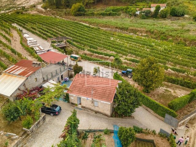Quinta venda em Constance, Porto
