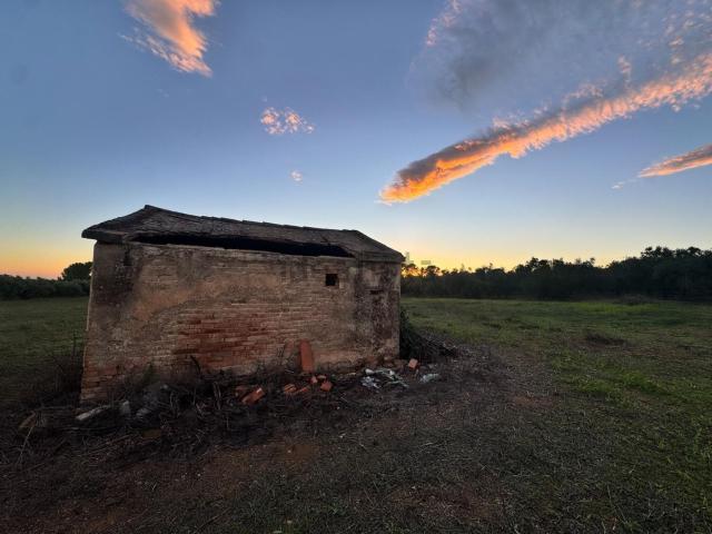 Casa Rural en venta en Polígon industrial de Constantí, Constantí