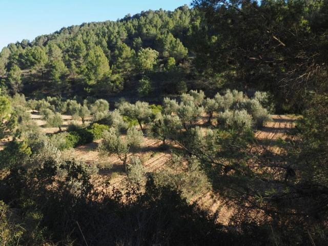 Casa Rural en venta en Terra Alta, Catalunya