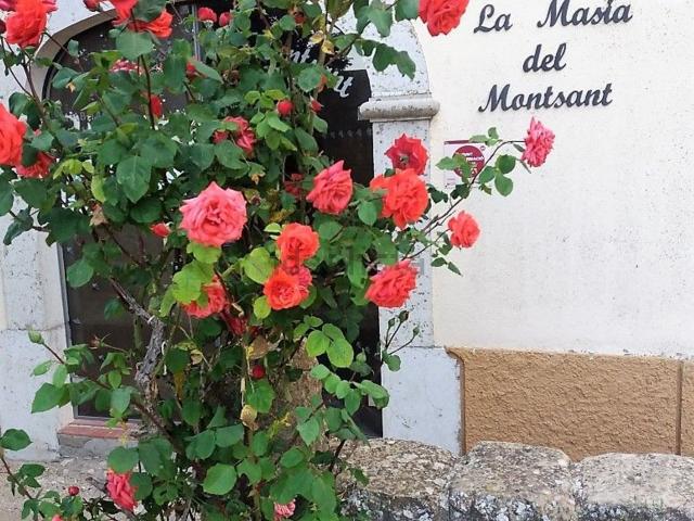 Casa Rural en venta en Priorat, Catalunya