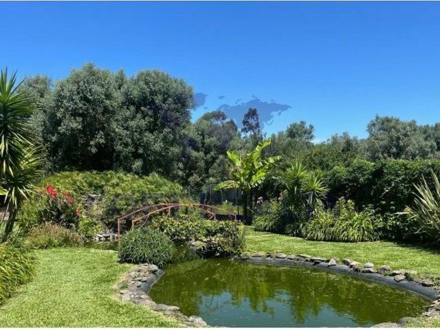 Quinta venda em Correlhã