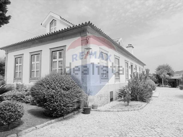 Quinta venda em Correlhã, Correlhã