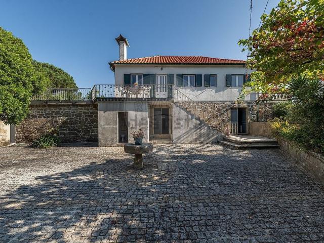 Quinta venda em Correlhã, Correlhã