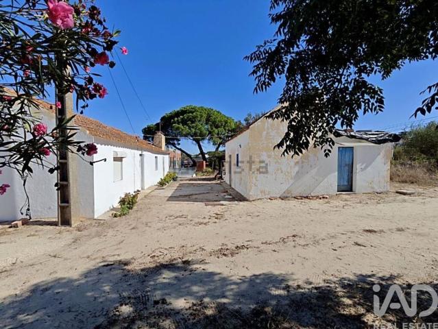 Quinta venda em Coruche, Santarém
