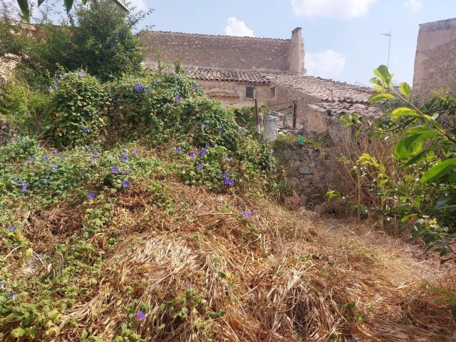 Casa Rural en venta en Pla de Mallorca, Baleares