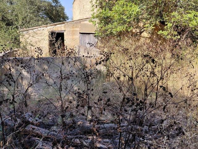 Casa Rural en venta en Pla de Mallorca, Baleares
