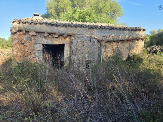 Casa Rural en venta en Pla de Mallorca, Baleares