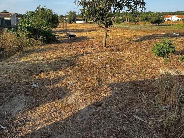Quinta venda em Lagoiços, Coruche